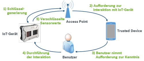 wunder3